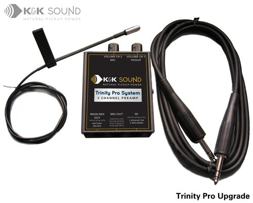 K&K Trinity Pro Mini System