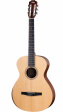 Taylor Academy 12e-N Grand Concert Nylon Taylor Academy 12e-N Grand Concert Nylon