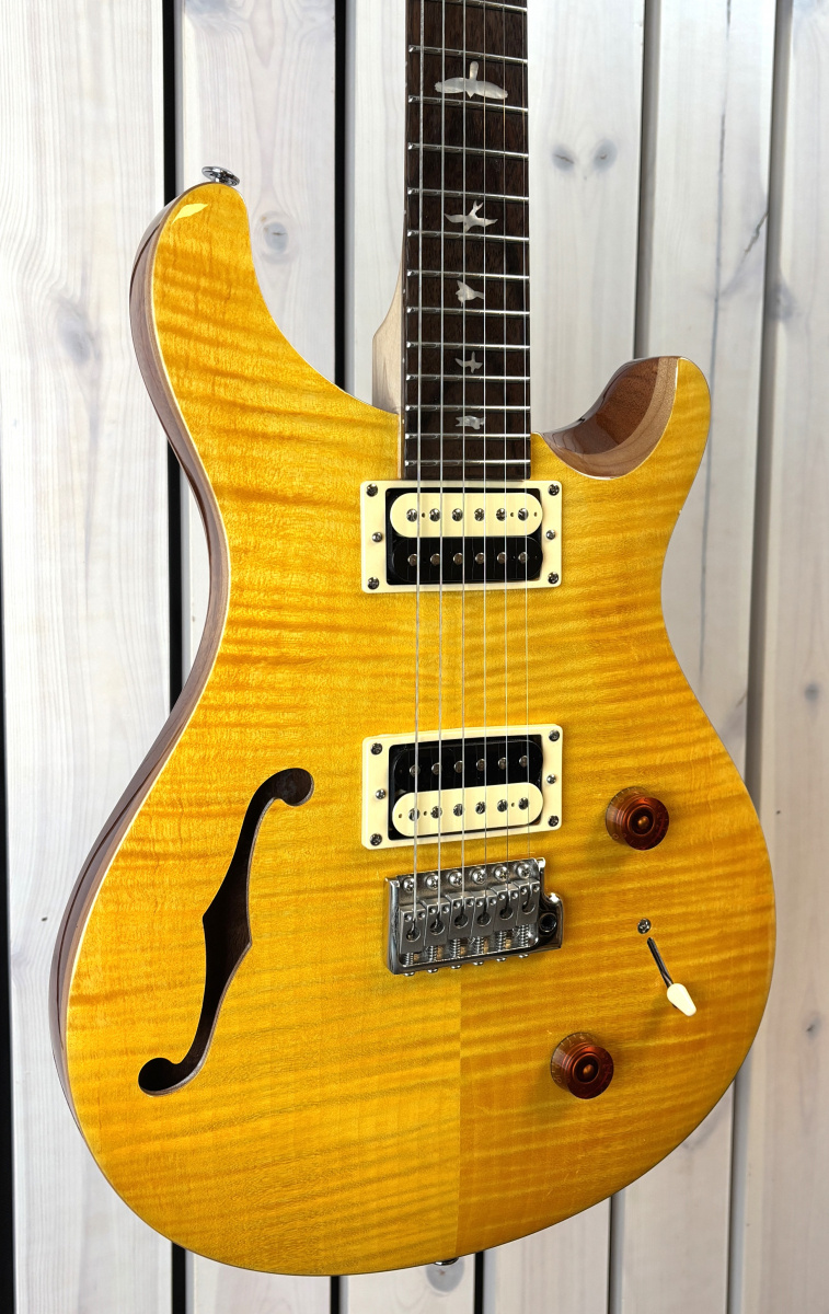 PRS SE Custom 22 Hollow Body - begagnad