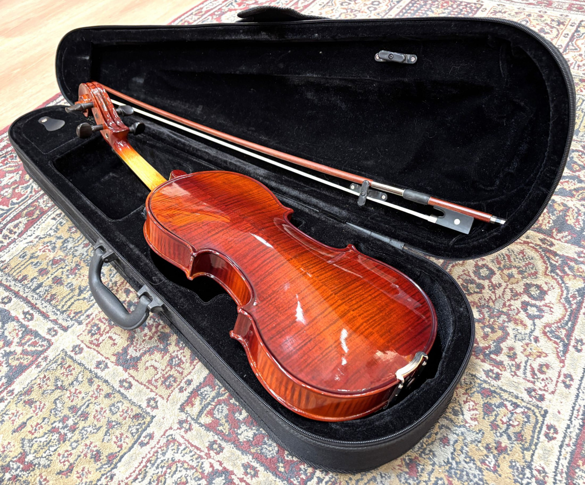 Hazelton Violinset 3/4 - begagnat