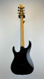 SChecter Extreme - Begagnad Baksida