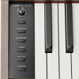 Donner DHP-200 Pro digitalpiano - valnöt Donner DHP-200 Pro digitalpiano - valnöt