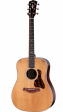 Taylor Gold Label 710e Taylor Gold Label 710e