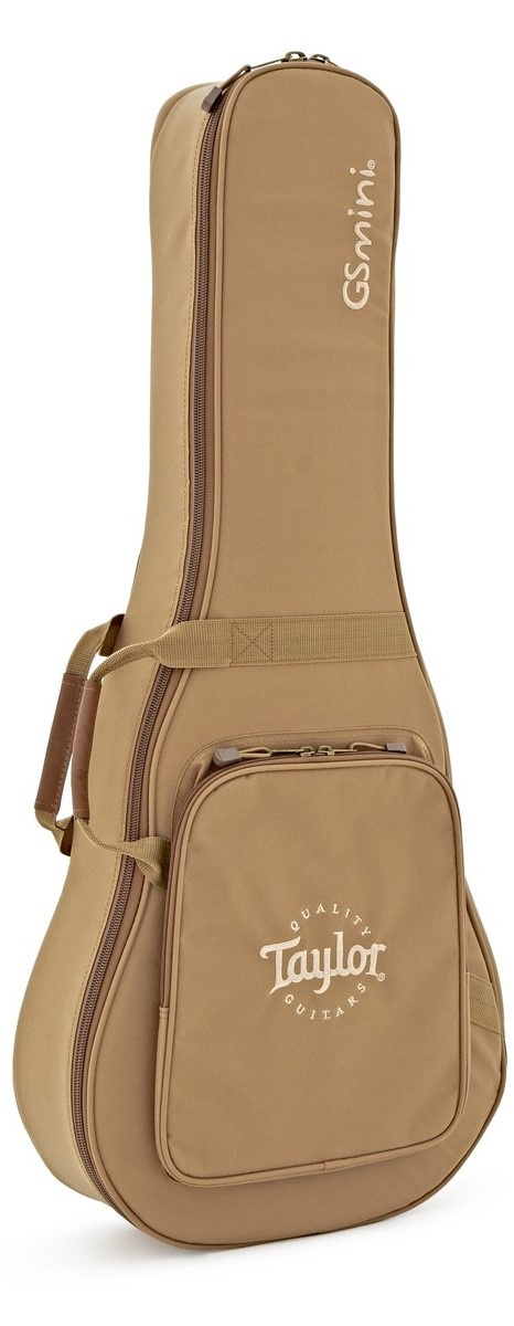Taylor GS Mini-e Koa - mic