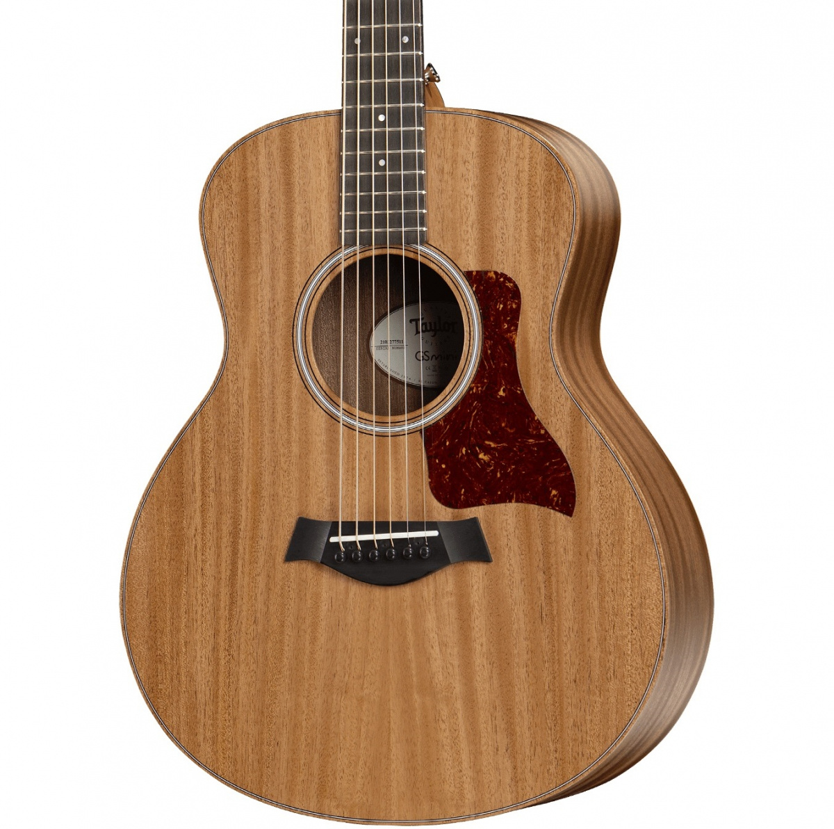 Taylor GS Mini-e Mahogny