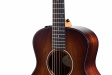 Taylor GS Mini-e Koa Plus - Shaded Edgeburst Taylor GS Mini-e Koa Plus - Shaded Edgeburst