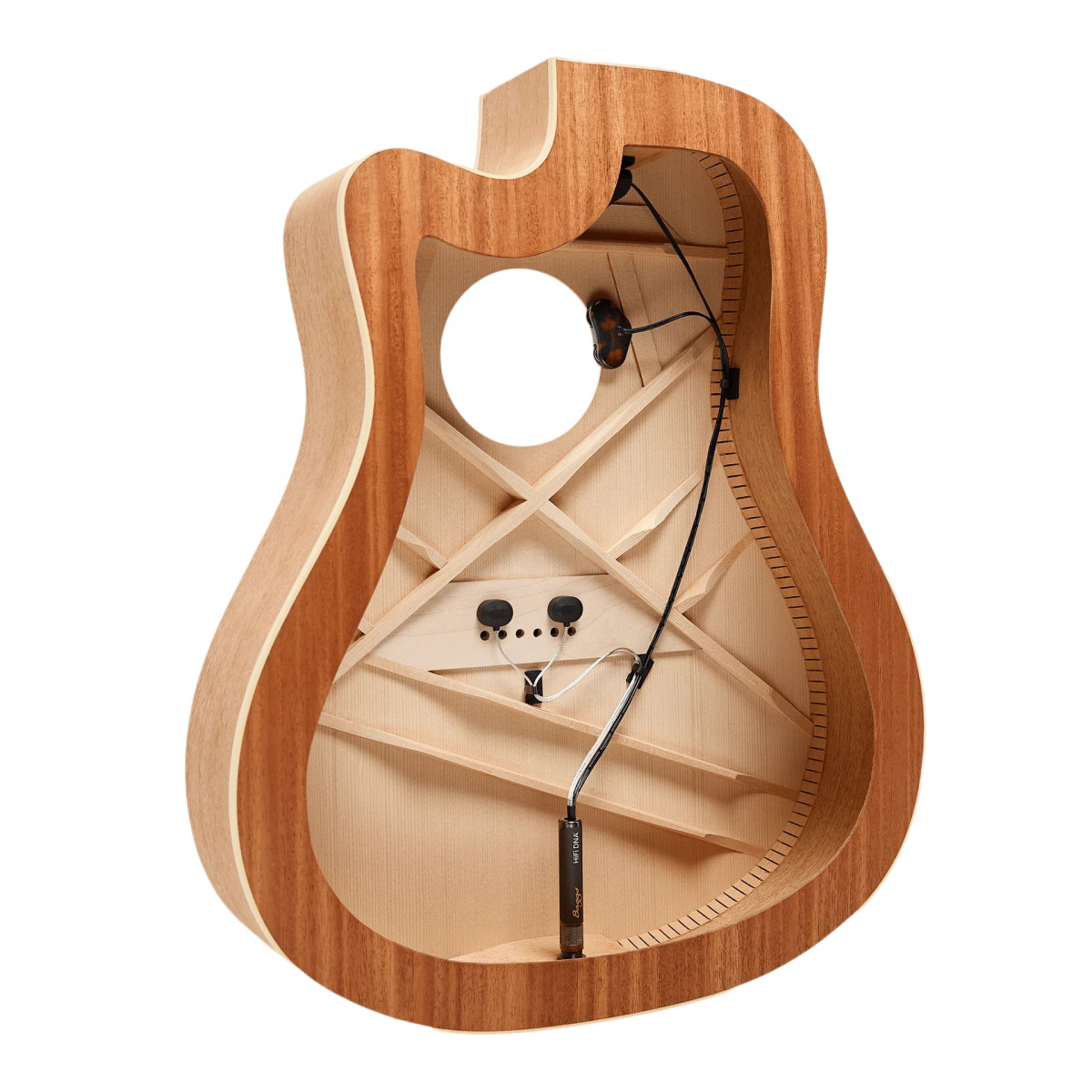 - LR Baggs HiFi DNA avancerat akustiskt pickupsystem
