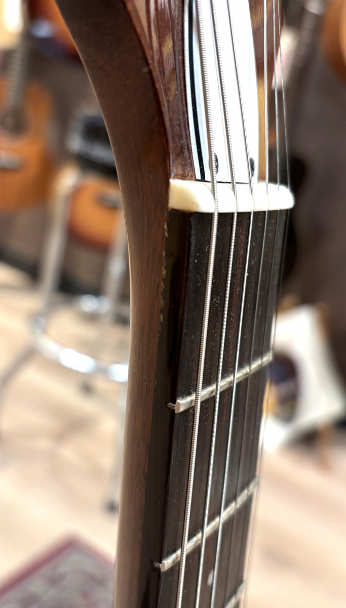 Harmony Juno Champagne - begagnad