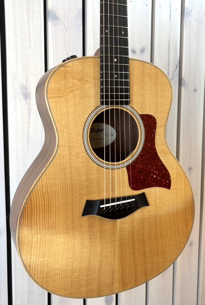 Taylor GS Mini-E Rosewood - begagnad