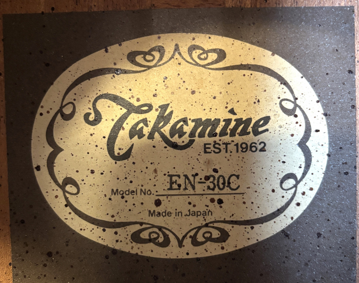 Takamine EN-30C inkl. hardcase - begagnad