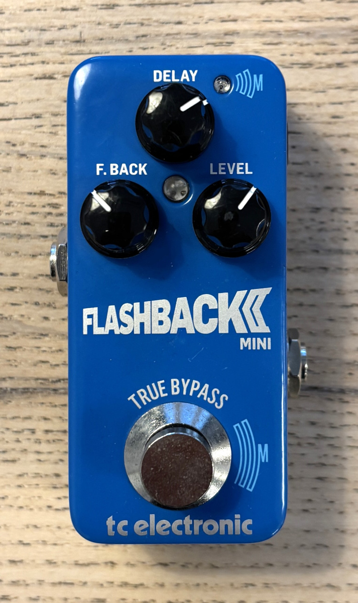 TC Electronic Flashback 2 Mini - begagnad