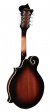 Richwood RMF-60 Mandolin - Vintage Sunburst