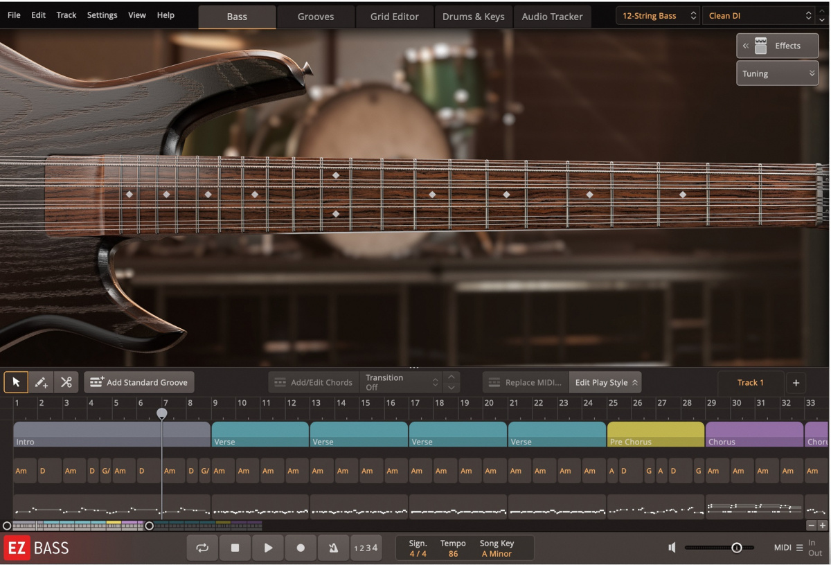 Toontrack 12 String Bass EBX - Download